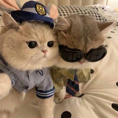可爱情头