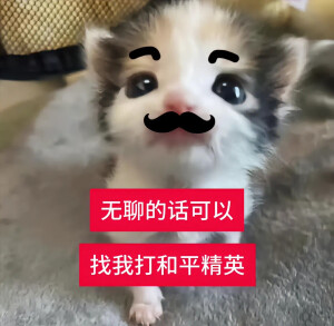 小茂密
图源网络各处