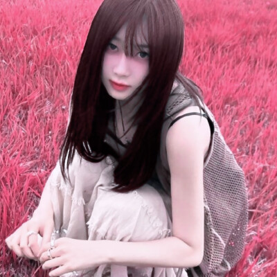 
傅芷の