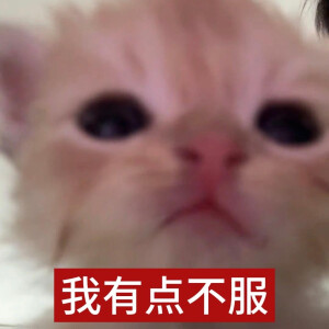 小茂密
图源网络各处