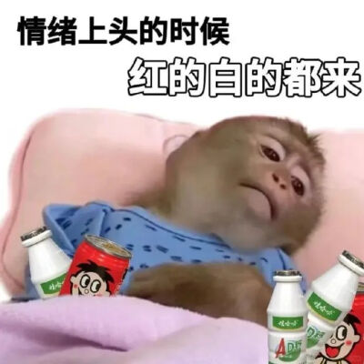 表情包