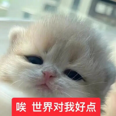 表情包