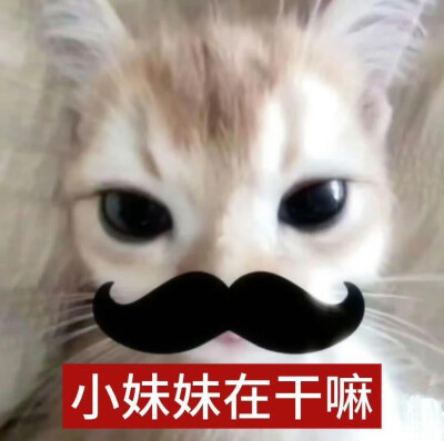 小茂密
图源网络各处