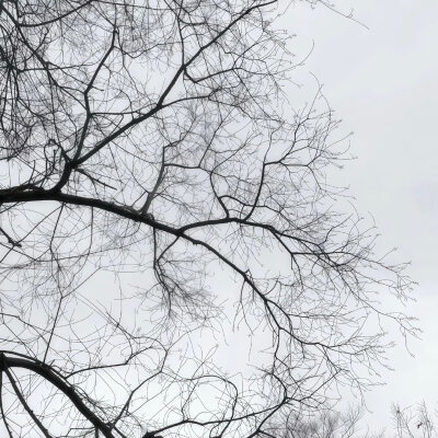 女生头像背景图