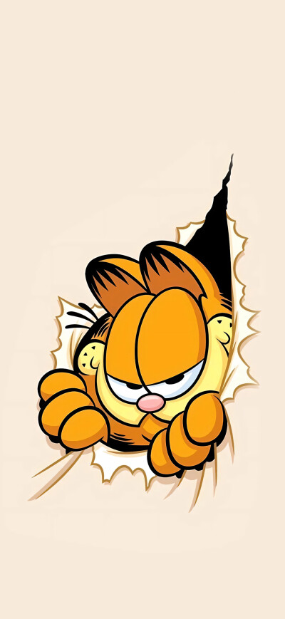加菲猫