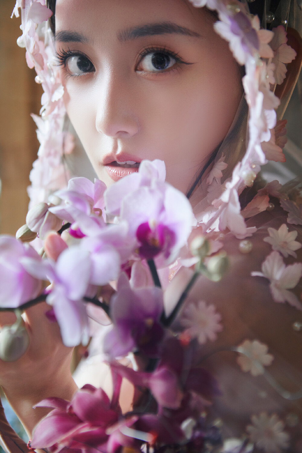 蒋依依
