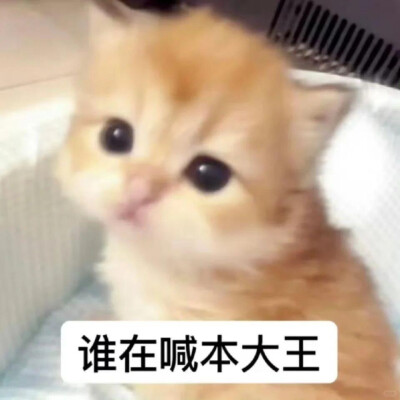 小茂密
图源网络各处