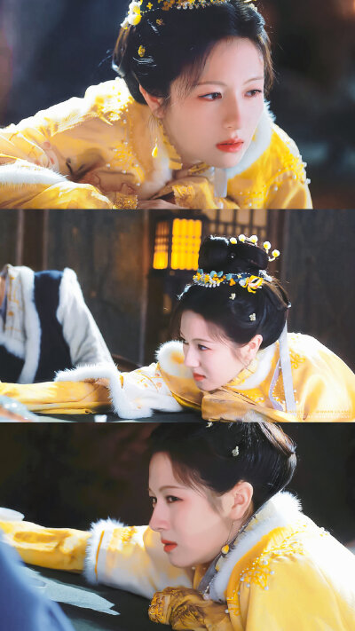 李兰迪·秦莞 朝雪录