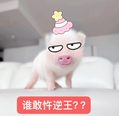 乱七八糟/图片/头像/搞怪