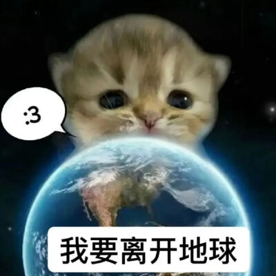 表情包