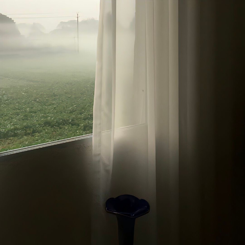 ： 好像一場蓄謀已久的雨淅淅瀝瀝下在我心裡，讓我的愛又一次像雨水溢出
