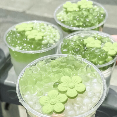 树下 我是我的春天