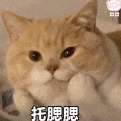 。