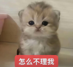 小茂密
图源网络各处