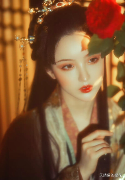 天晴后的樱花