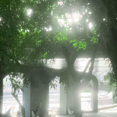 当幸福开始有预兆