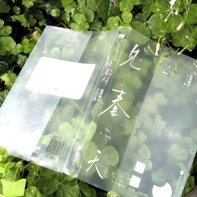 李知恩