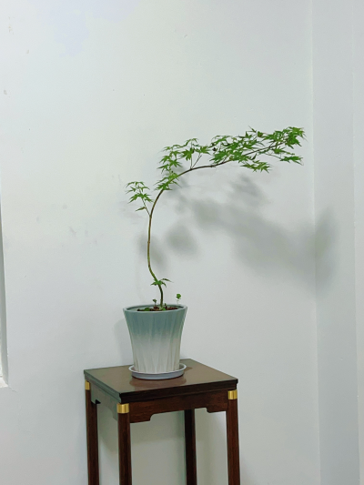 壁纸