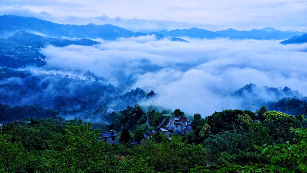 云海仙踪：歙县坡山自然风景