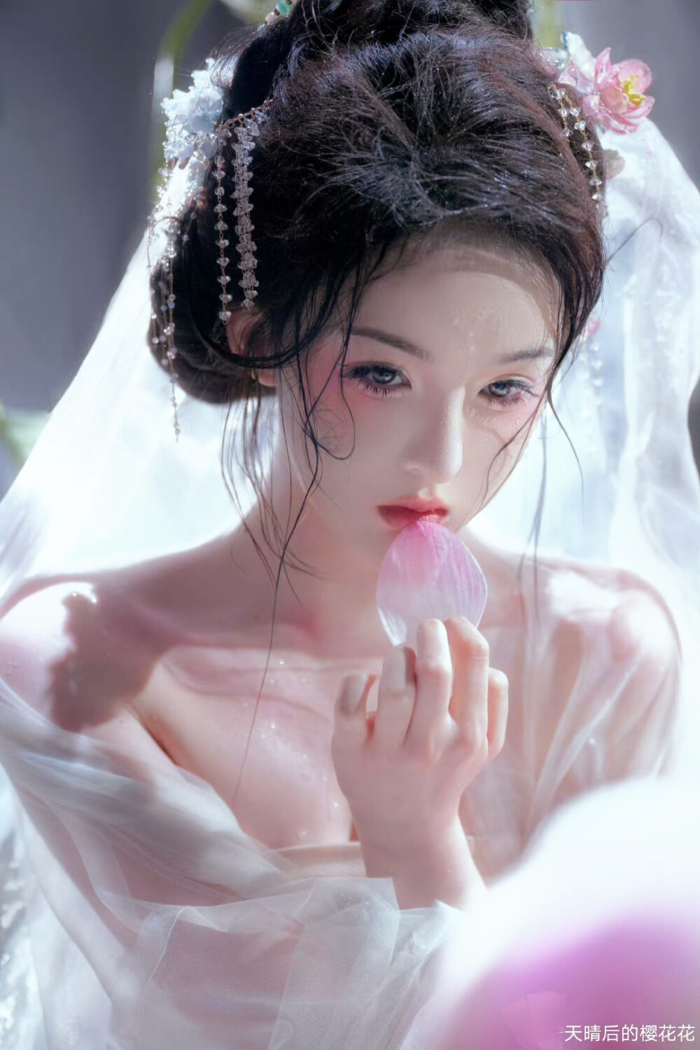 天晴后的樱花