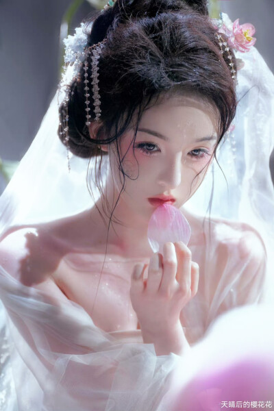 天晴后的樱花