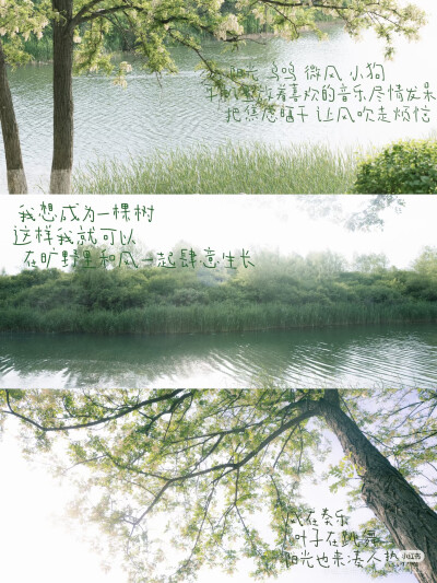 夏天
