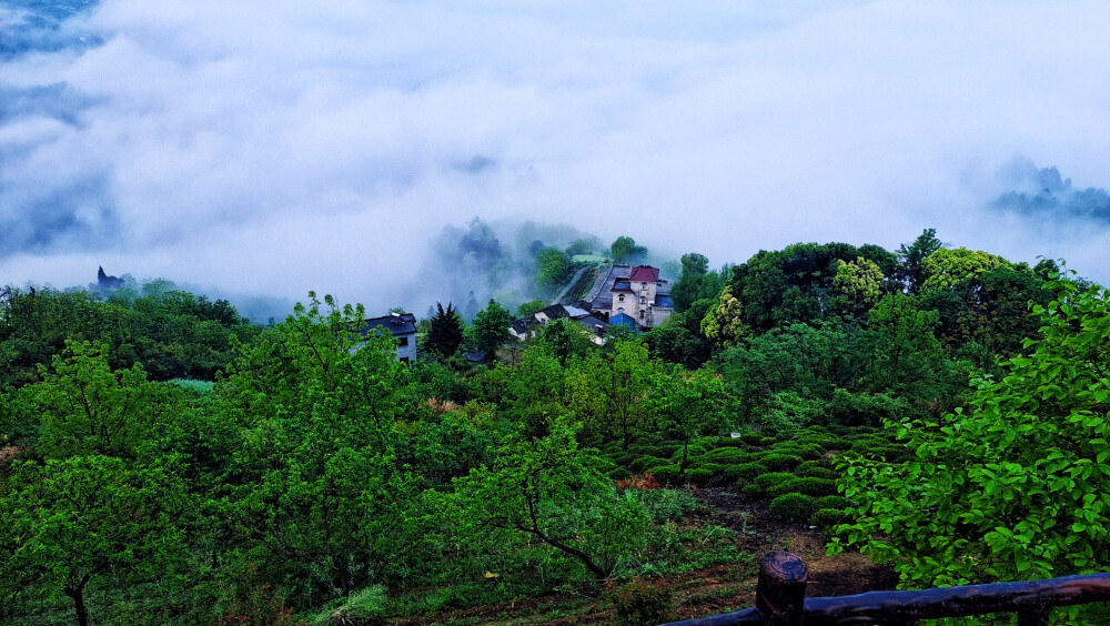 云海仙踪：歙县坡山自然风景