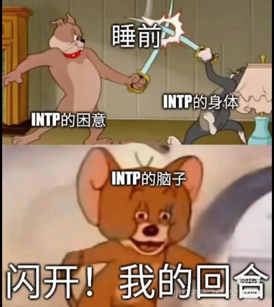 intp梗图