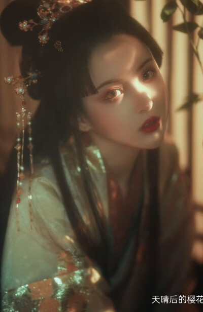天晴后的樱花