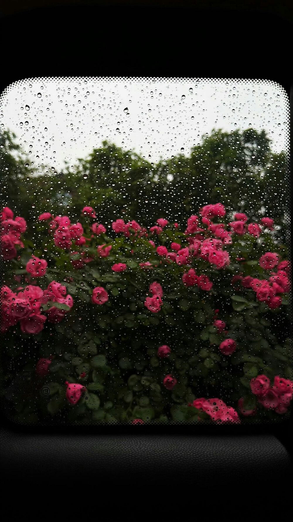 别让这么好看的壁纸从手边溜走