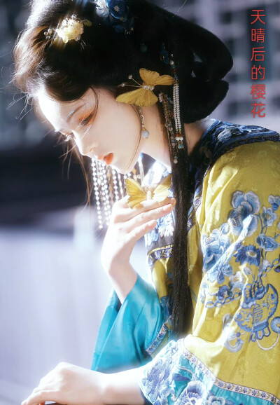 天晴后的樱花