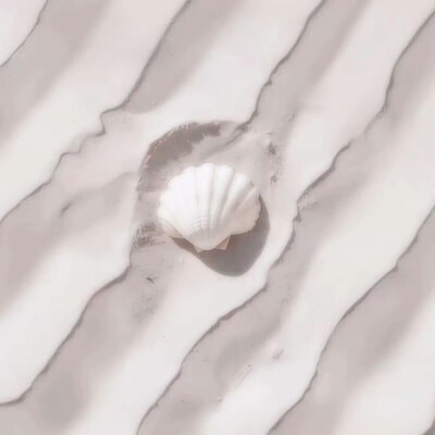 这个傅芷怎么这么宠我(❁´ω`❁)