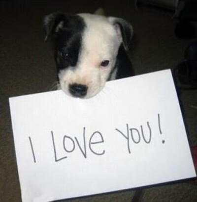 inu