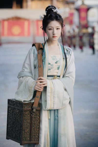 朝雪录 秦莞