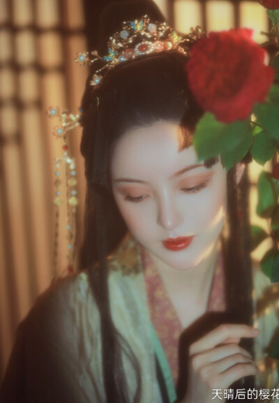 天晴后的樱花