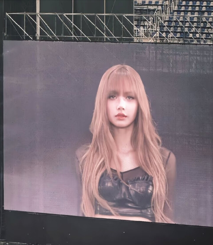 Lisa