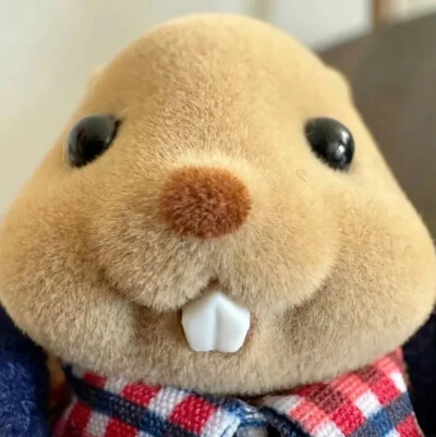 可爱玩偶头像