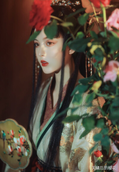 天晴后的樱花