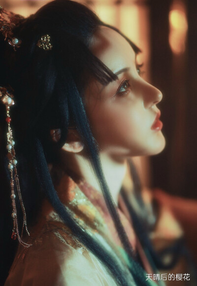 天晴后的樱花