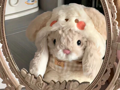 可爱猫咪头像