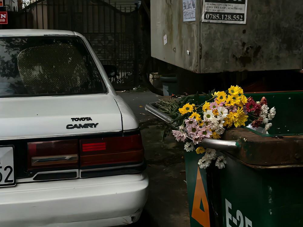 平板 电脑壁纸