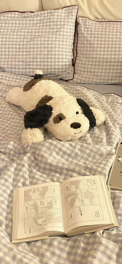壁纸