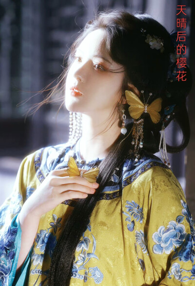 天晴后的樱花