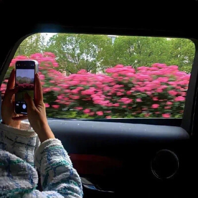 ins风小众背景图