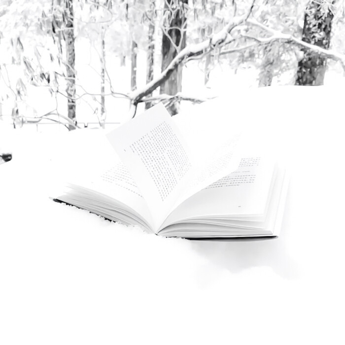 你和雪的共同点
闵玧其