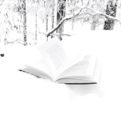 你和雪的共同点
闵玧其