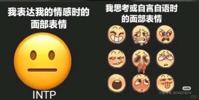 intp梗图