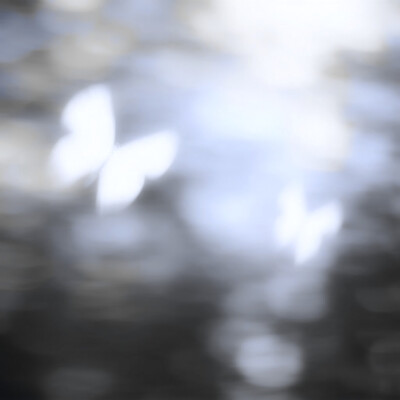 -代号07化學变异Feuer!生物/斑點貓？