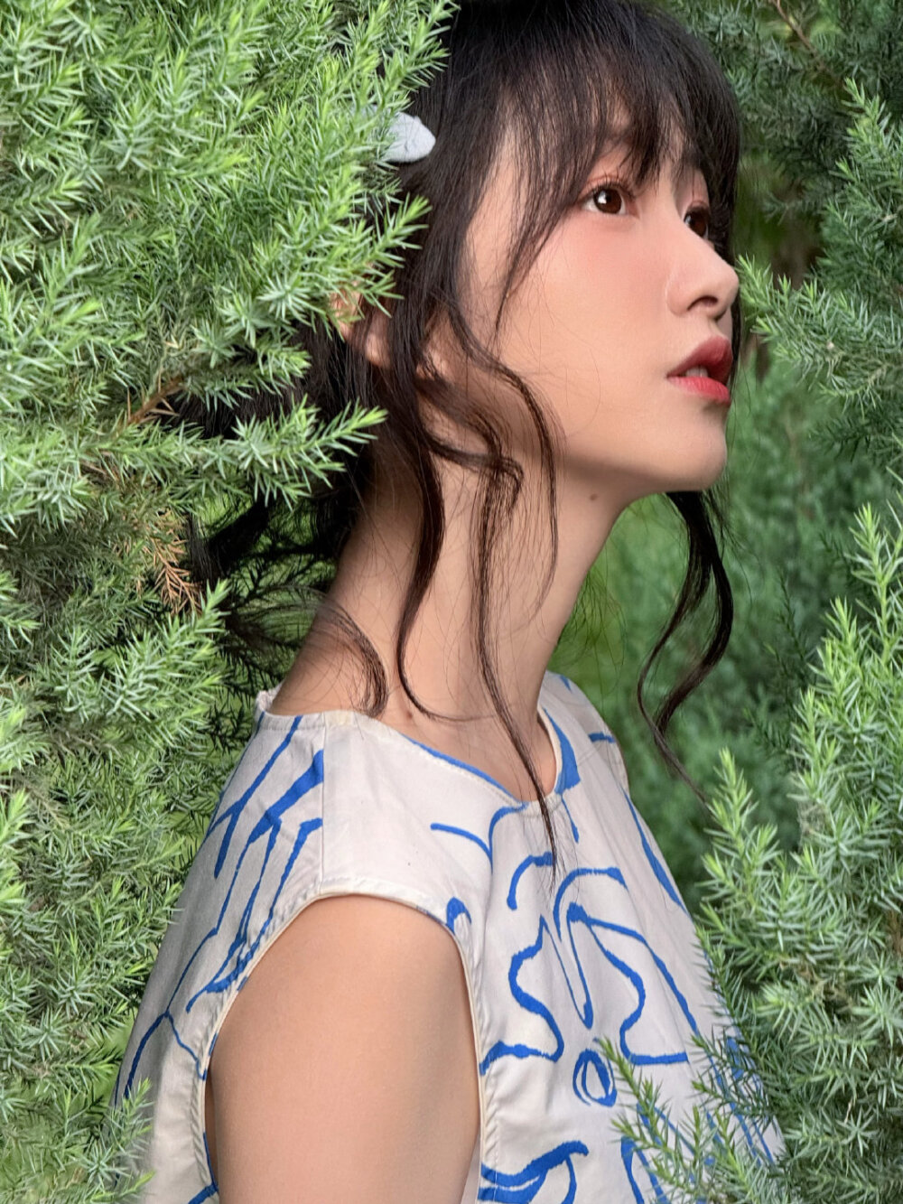 杨肸子