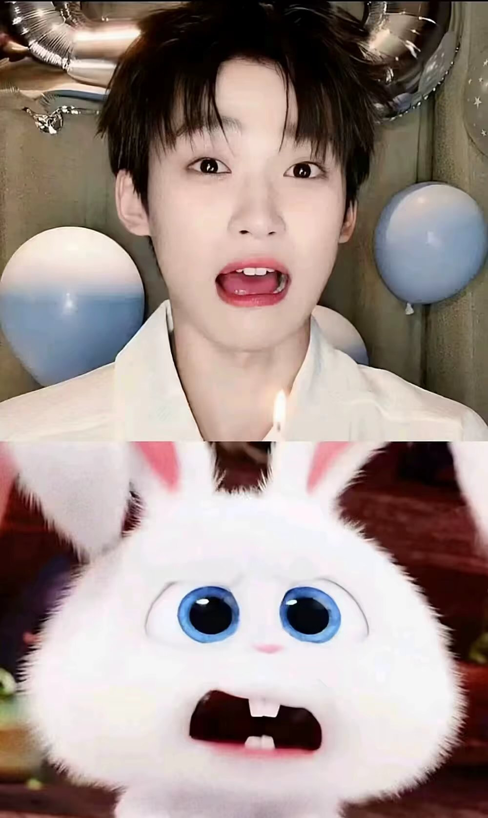 梓瑜ᜊ•ᴗ•ᜊ